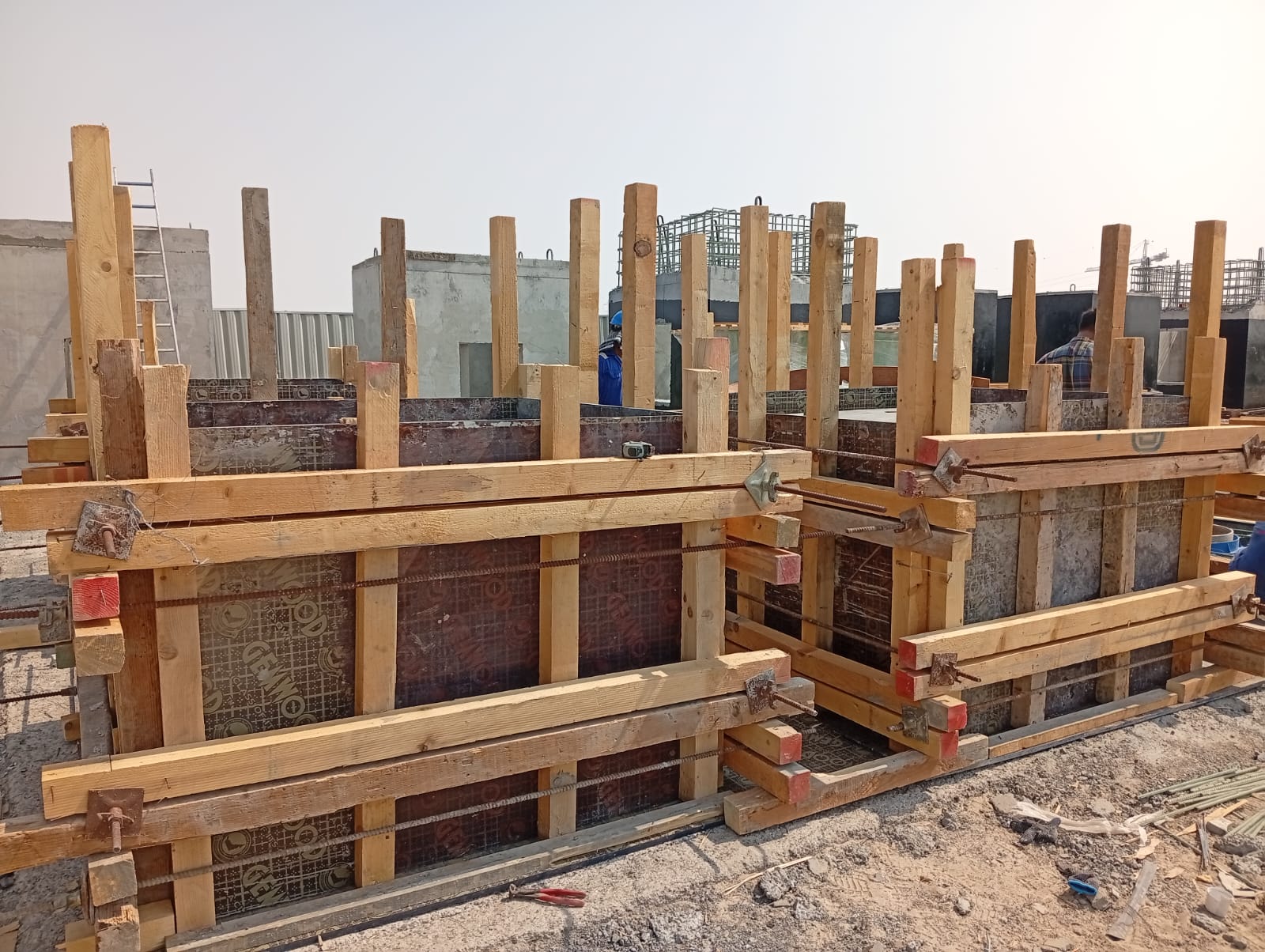 TSE Network ICAD Project