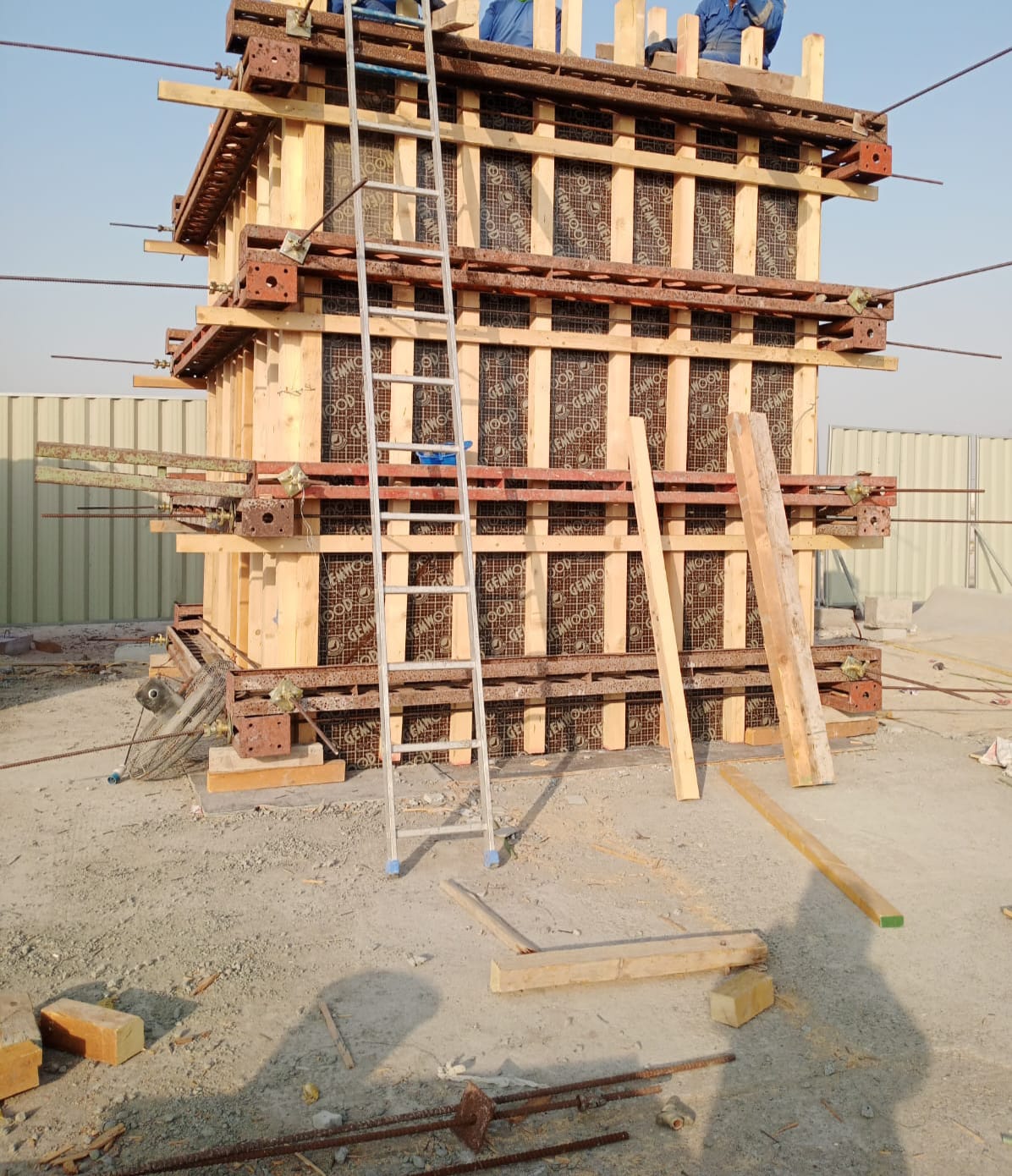 TSE Network ICAD Project